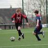 Harry Shields - @haza_s_22 - TikTok