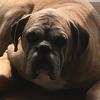 Harry shields - @harry.s797 - TikTok