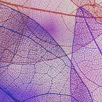 Harry Shuster - @shustermize - Instagram