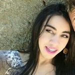 Harry Silva - @harry.silva - Instagram