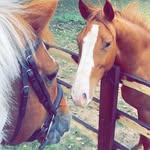 Harry Singleton-Naylor - @harry_jksn02 - Instagram