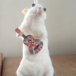 Harry Skinner - @harryskinnermusic - Instagram