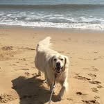 Harry Snelling - @harry.snelling - Instagram