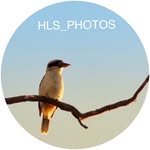 Harry Snelling - @hls_photos - Instagram