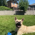 Harry Sohal - Facebook