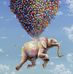 Harry Sommer - Facebook