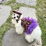 Soona Kim - @harry.soona - Instagram