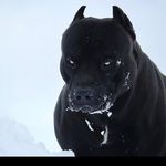 Harry Sousa - @aka_souza2k19 - Instagram