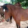 Harry Sousa - @harry.sousa - TikTok