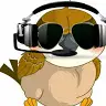 harry sparrow - @harrysparrow2 - TikTok