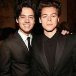 cole y harry❤ - @colesprousexharrystyle - Instagram
