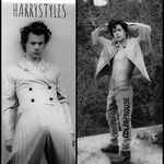 ColeStyles - @harrysprouses - Instagram