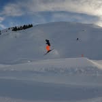 Harry Stamm - @harrystamm20 - Instagram