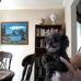 Harry Stamm - Facebook