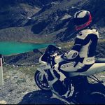 Dominic Hartmann - @harry_stamper_ - Instagram