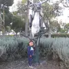 Harry Stamper - @harry.stamper0 - TikTok
