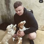 Harry Stapleton - @harryy_stapleton - Instagram