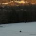 Harry Brown Farm Starks Maine - Facebook