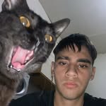 chorizon - @harry.steenn - Instagram