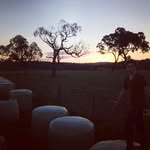Harry Steenbeek - @harry_steenbeek - Instagram