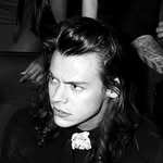 HARRYSTEMPORARFIXSOLO - @longhairedmansstan - Instagram