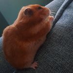 Harry Stickley - @harry_stickley - Instagram