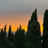 Harry Stocks - @harry.stockssecret - TikTok