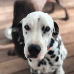 Harry - @harry.b.stoddart - Instagram