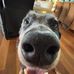 Harry Stoddart - Facebook