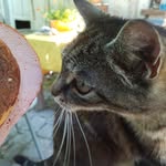 Harry Stoll - @moniharrytux - Instagram