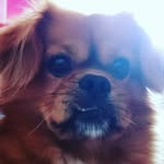 jennolove - @harrystoll66 - Instagram