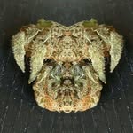 John Harry - @harrystoner420 - Instagram