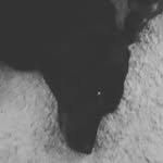 Harry Stotsenburg - @cold_frost321 - Instagram