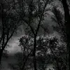 harrystraight - @ameera46375 - TikTok