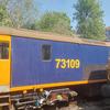 Harry - @harrystrainadventures711 - TikTok