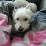 Heiko Straube - @harry_straube - Instagram