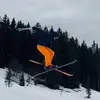 Harry Street - @user7536_harry_738 - TikTok