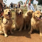 Harry Stumper - @harrystumper - Instagram