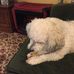 Harry Stumpf - Facebook