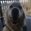 harrysuch - @harrysuch78 - TikTok