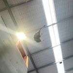 Harryflips - @harry_summers.flips - Instagram