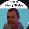 Harry styles Stan - @.harryssunshine - TikTok
