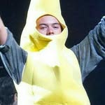 Harry Sunshine - @curlyshazz - Instagram