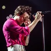 harrys sunshine - @harrys.sunshine - TikTok