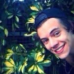 hiiiii x - @harrysunshinexx - Instagram