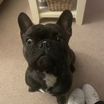 Harry Sutton - @harry_sutton82 - Instagram