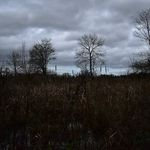 Harry Sutton - @harrysuttonphotography - Instagram