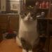 Harry Taft - Facebook