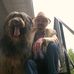 Harry Tait - Facebook