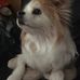 Harry Tam - Facebook